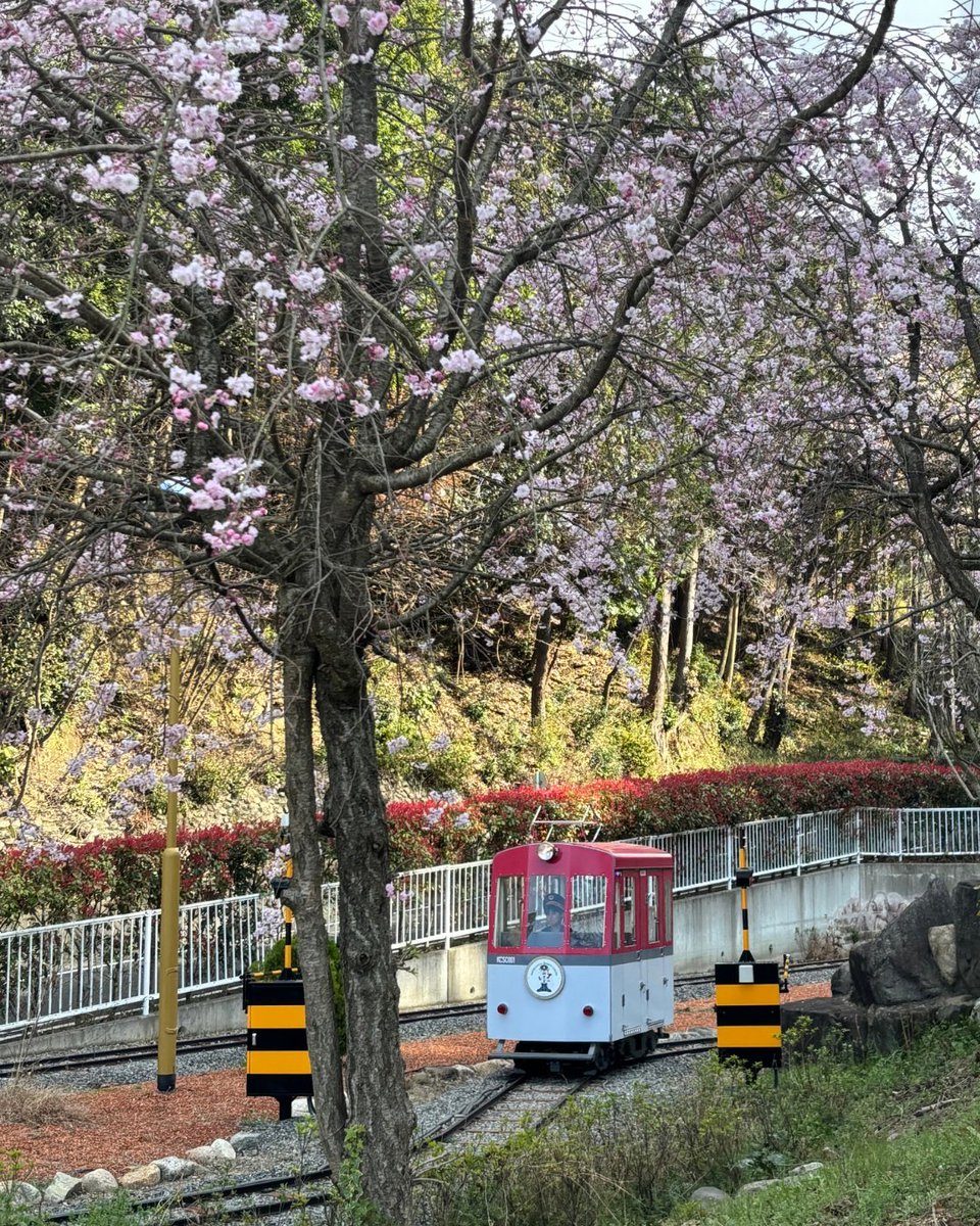 関西サイクルスポーツセンター【公式】 tweet media