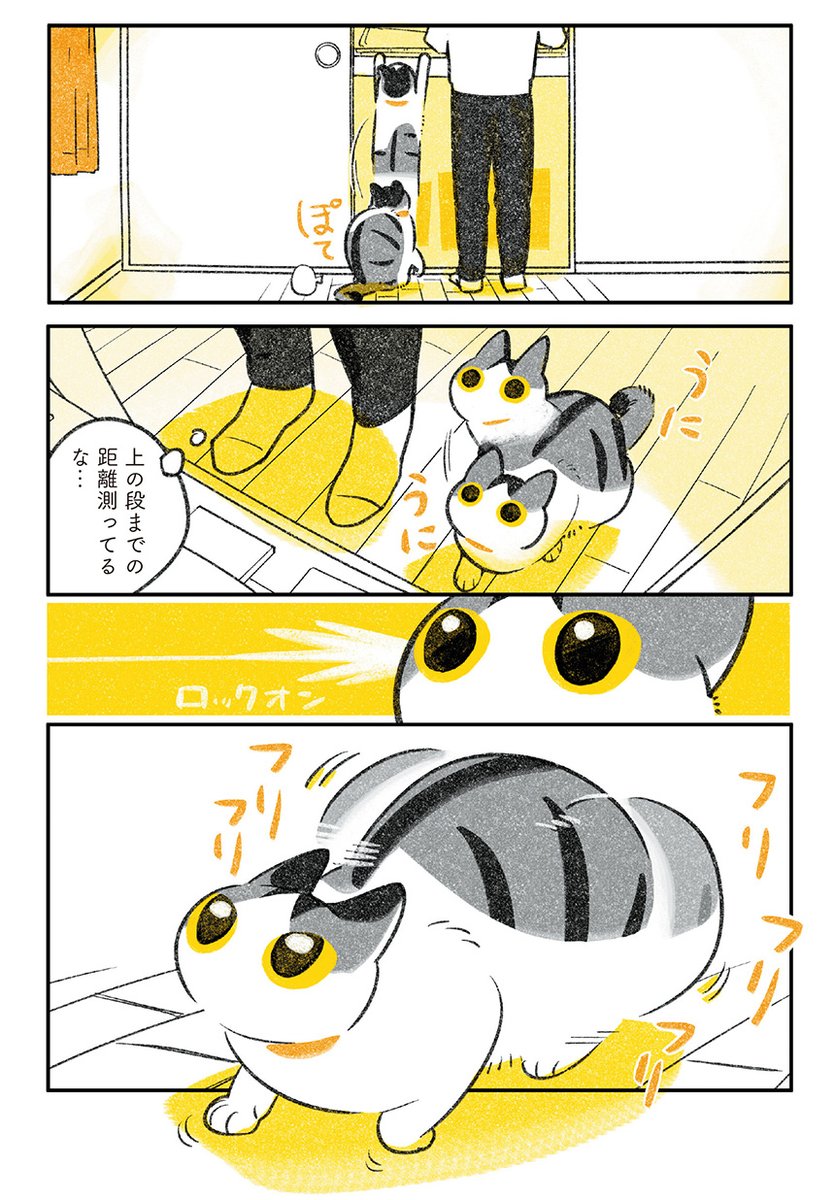続・猫と暮らしている日記(0/7) 