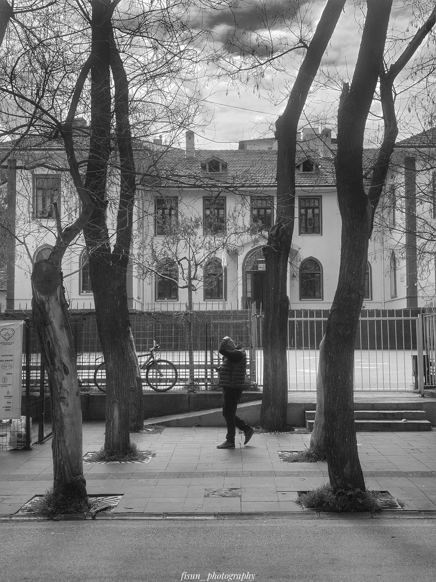 fisunphotograp1's tweet image. #photo
#foto