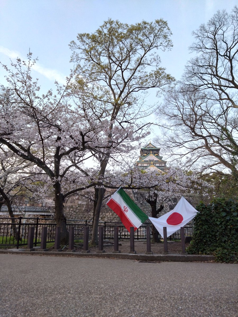 HAGIME−FW tweet media