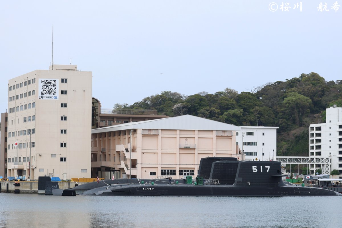 桜川 航希 tweet media