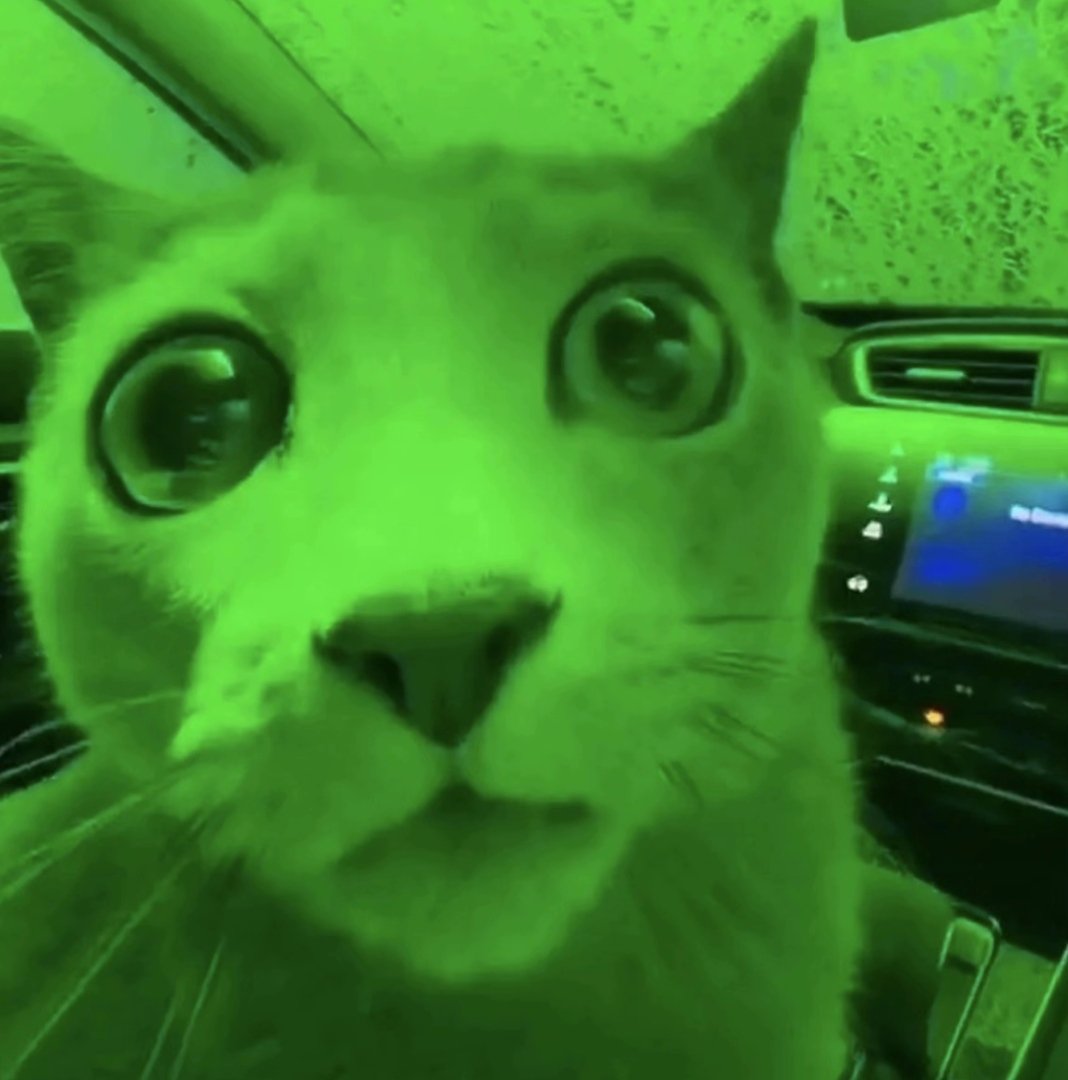 Anak Kolong tweet media