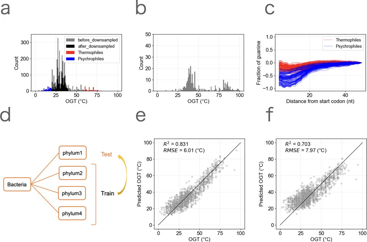 protasov_evgeni's tweet image. Genomic and evolutionary factors influencing the prediction accuracy of optimal growth temperature in prokaryotes
#microbiology #prokaryotes
@ASMicrobiology 
doi.org/10.1128/msyste…