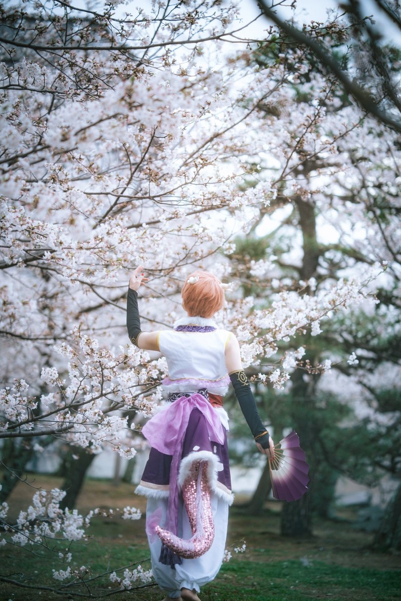 しき@にじそ【南J-11】 tweet media