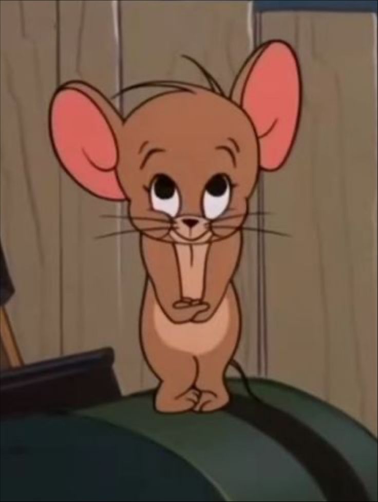 Alice✨ tweet media