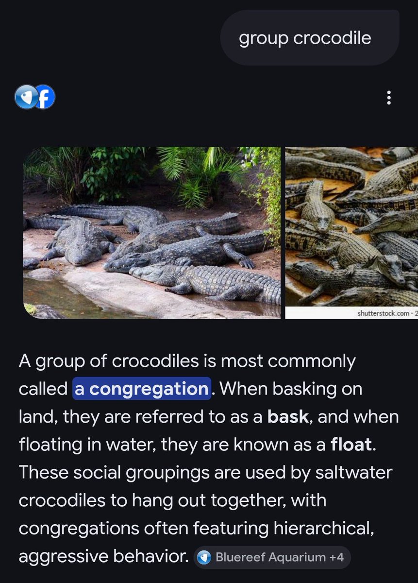 Austin 🇿🇲 tweet media