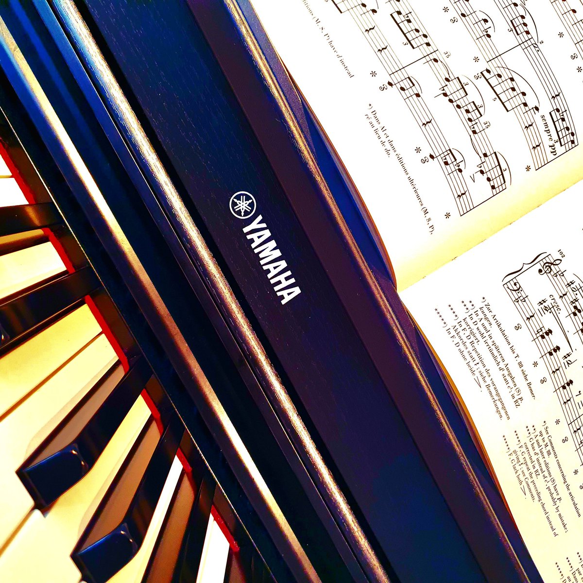 esme || shedtwt || IFB tweet media