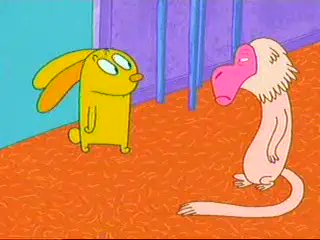 untalkative bunny frames tweet media