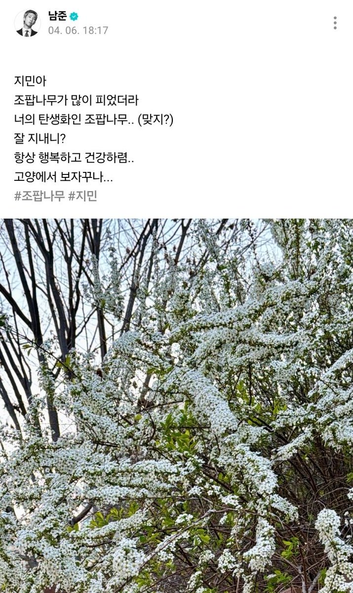 (Slow)병아리대장Kitty💛✨️𝕄𝕌𝕊𝔼✨️💛 tweet media