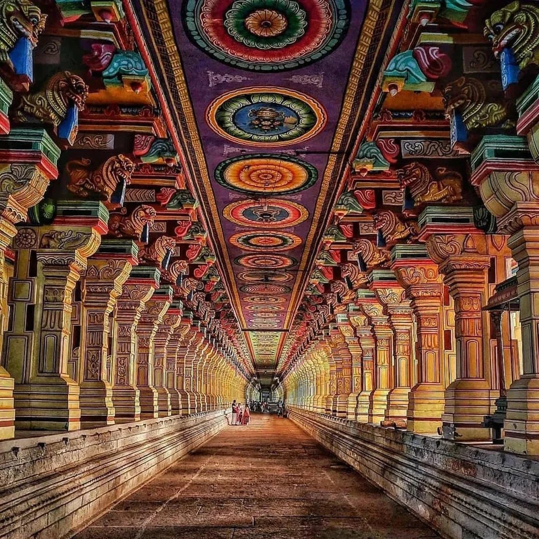 Vertigo_Warrior tweet media