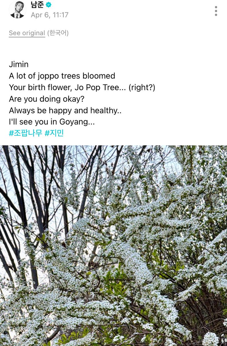 gallery of jimin tweet media