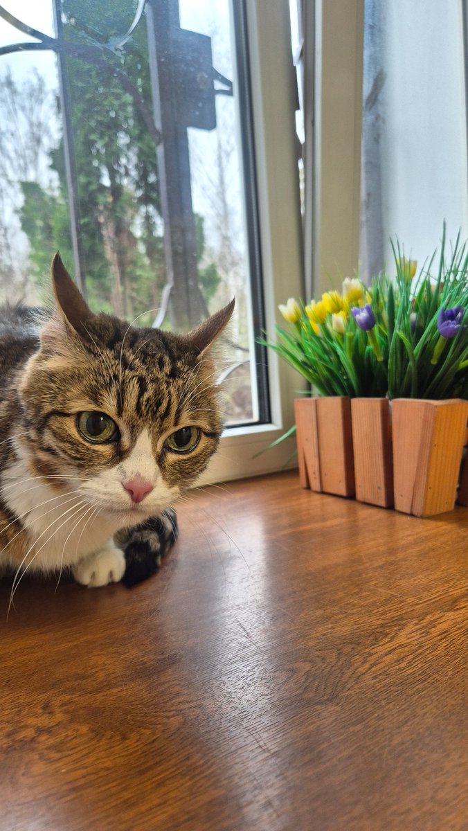 квантовая русская tweet media