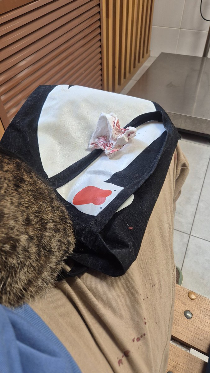 квантовая русская tweet media