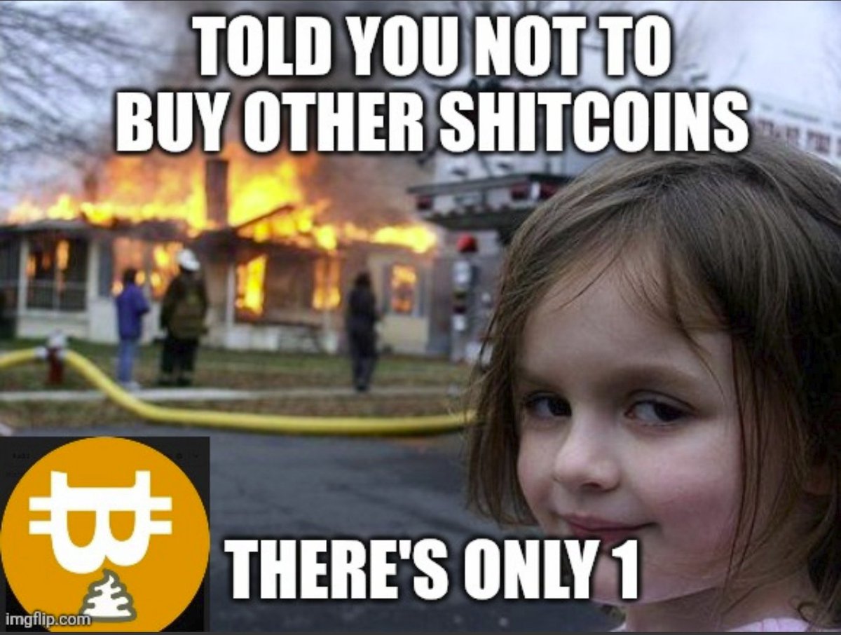 Shitcoin tweet media