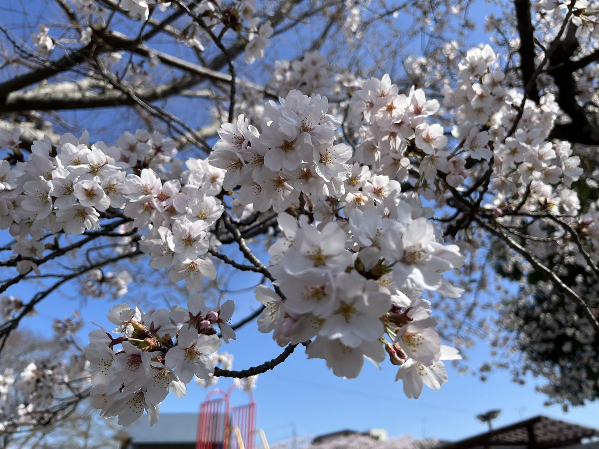 東海林 順 (Shouji Junn) tweet media