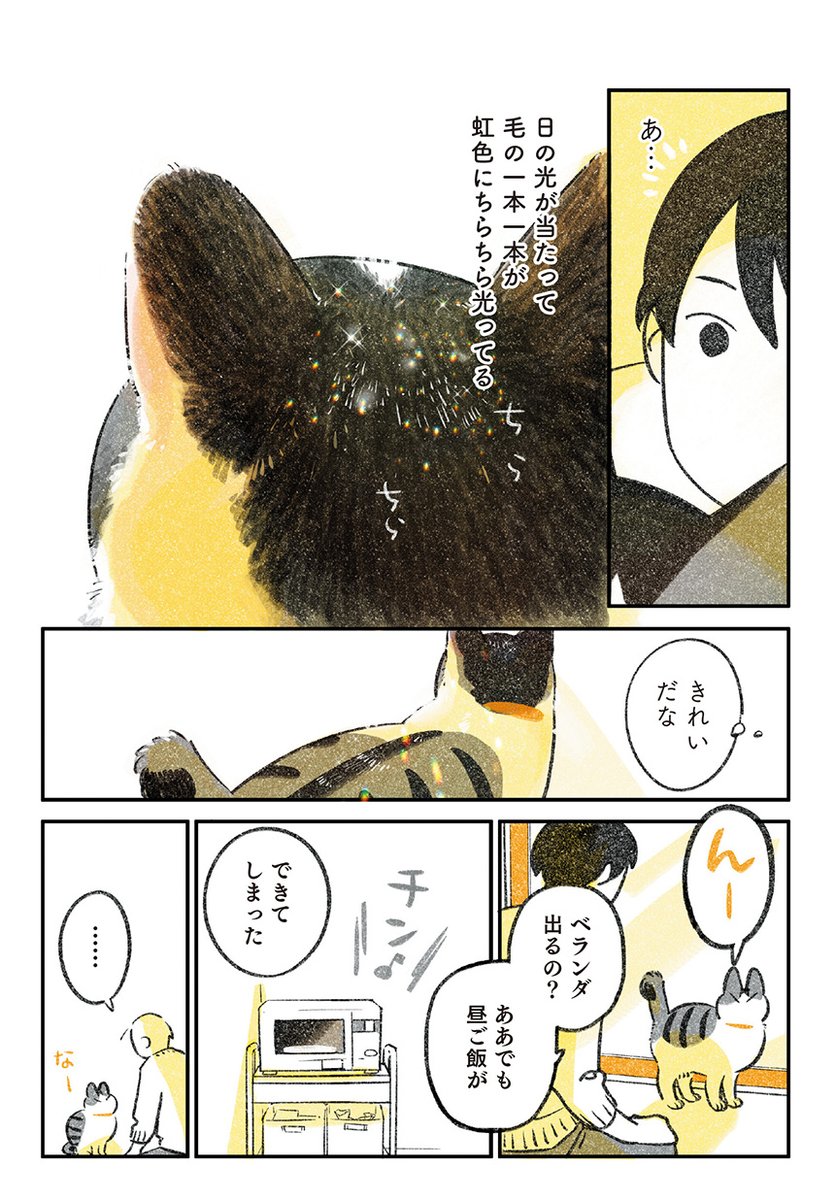 1/7
猫と昼ごはん 