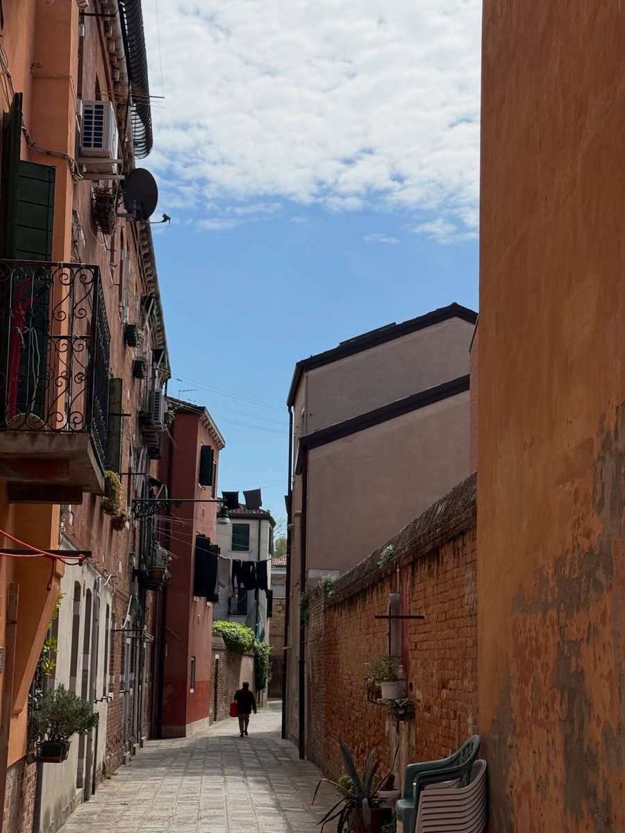 mayank austen soofi—InshaJoyce tweet media