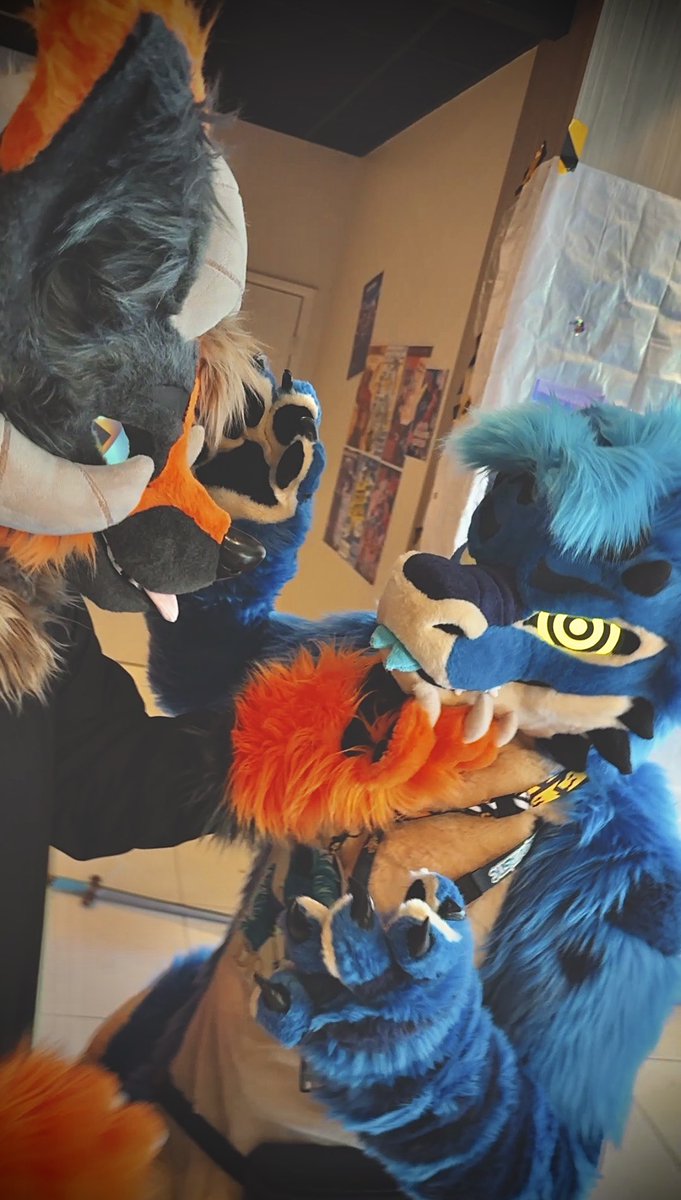 Aora 🍣 🔜FAUN tweet media