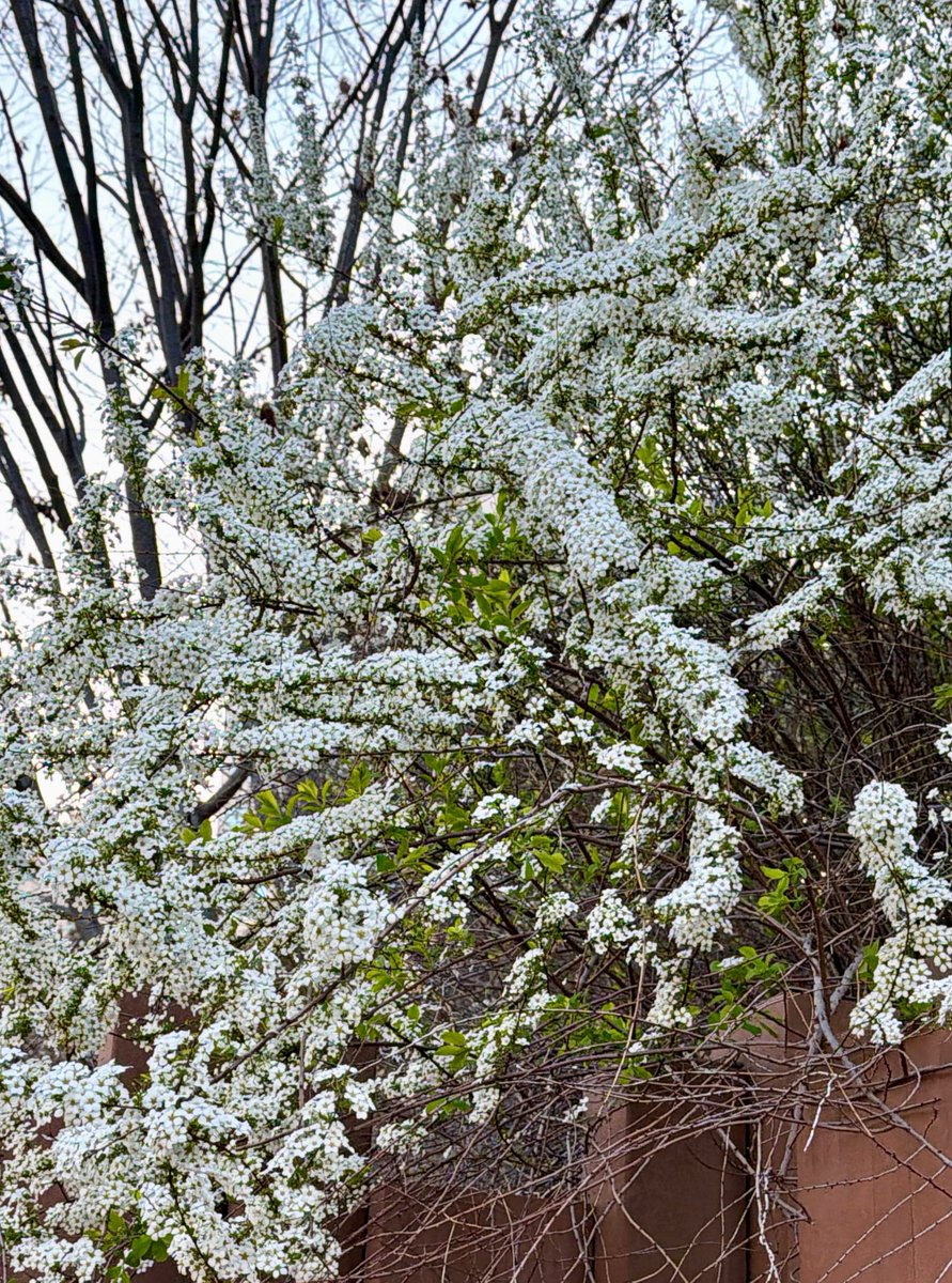 jimin updates 𝙟𝙢𝙩 tweet media