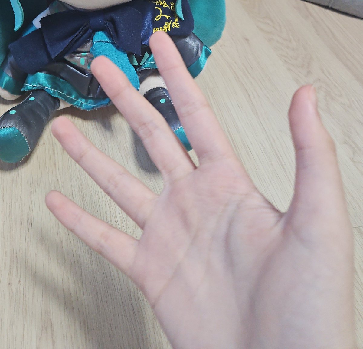 사탕님너무좋아요금손다이아손임포스터 크루 tweet media