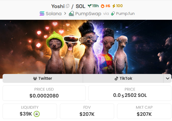 🦧Mr. APE aka GEM Hunter💎 tweet media