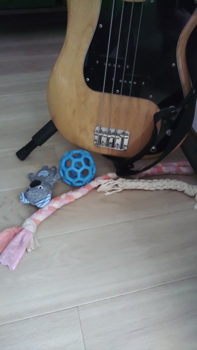 まーやん マイスト Milestonefor10years tweet media