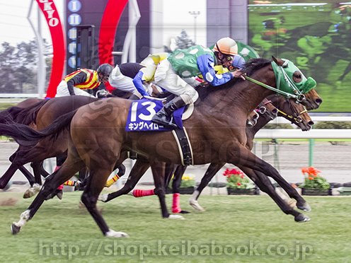 赤塚俊彦/競馬ブック tweet media