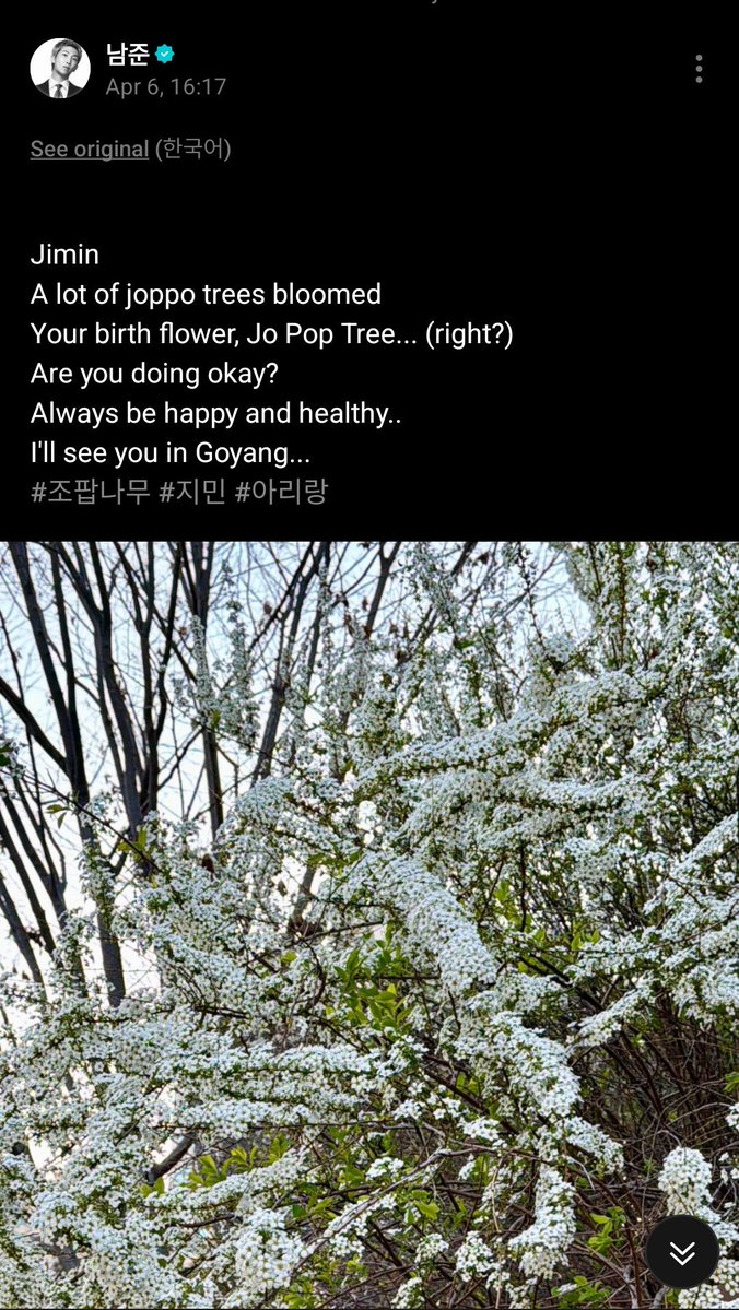 Nana 💜 tweet media