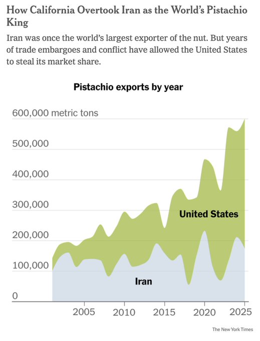 Amin Khorami tweet media