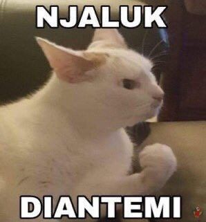 UNNES MENFESS🍌 tweet media