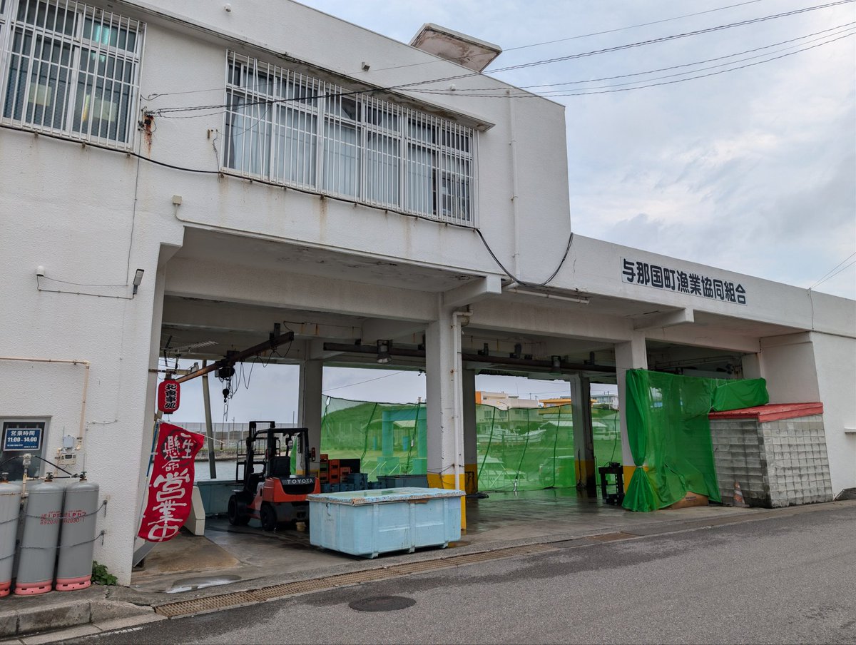 ノザマ@お星さまのお友達 tweet media