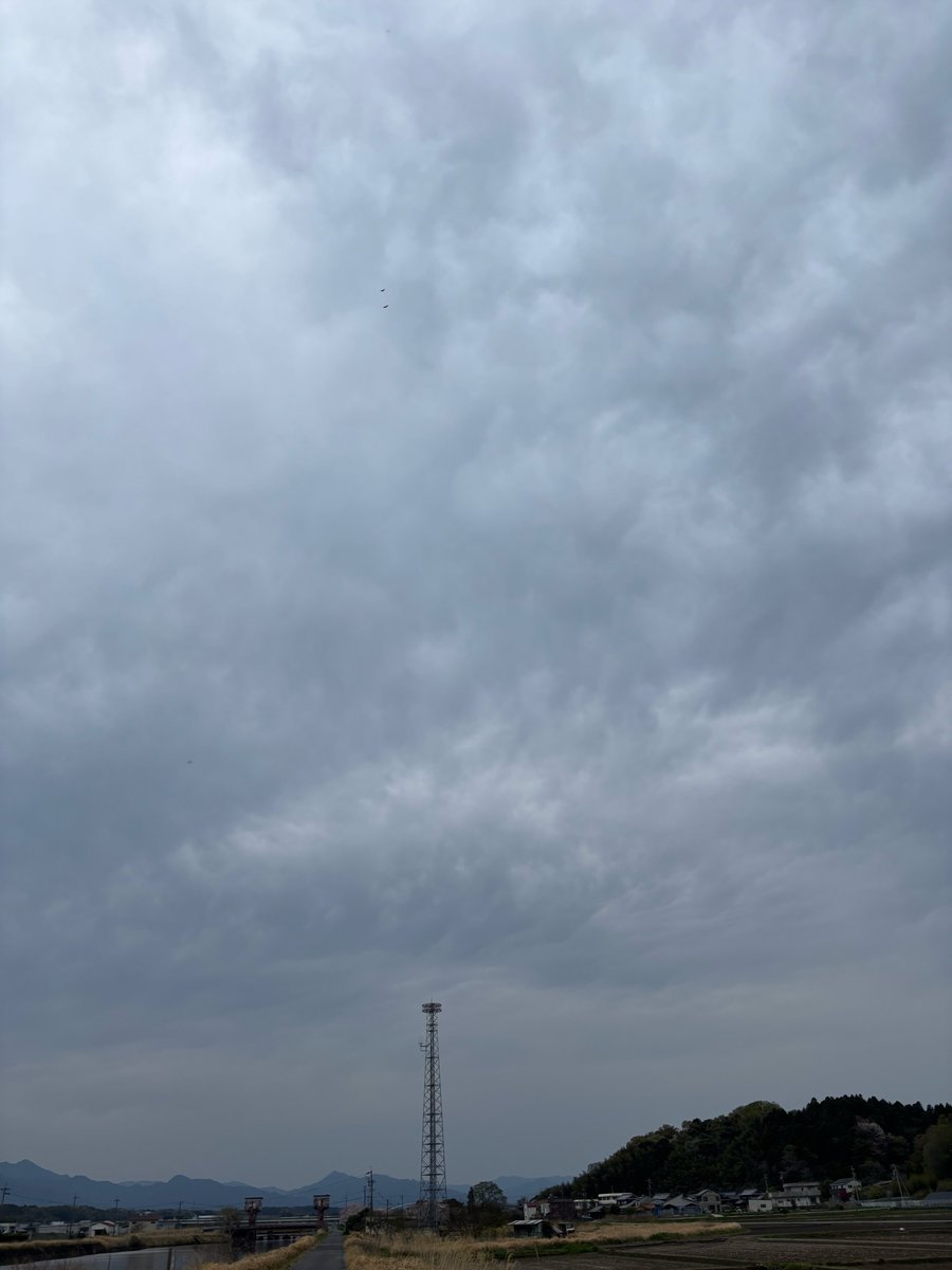 パンヂ パン太郎 tweet media