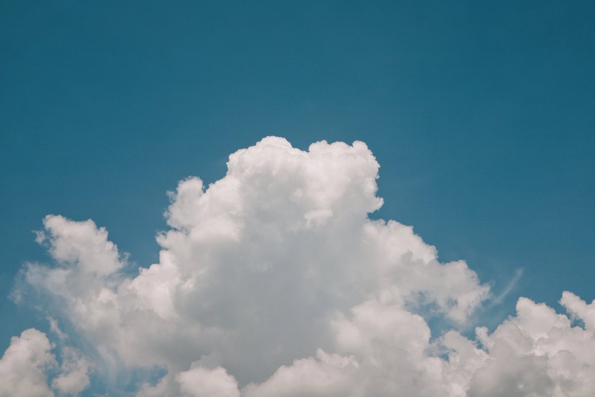 최영훈 tweet media