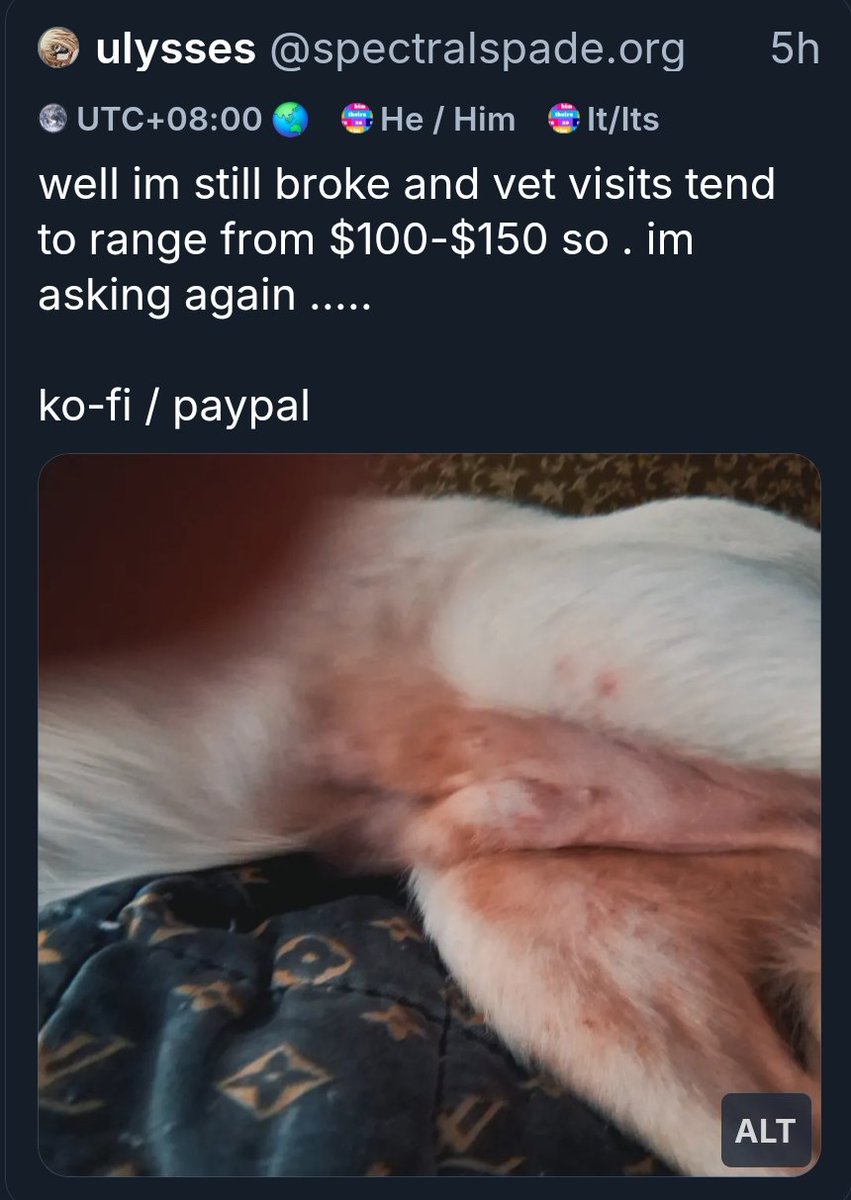 spectralspade.org tweet media