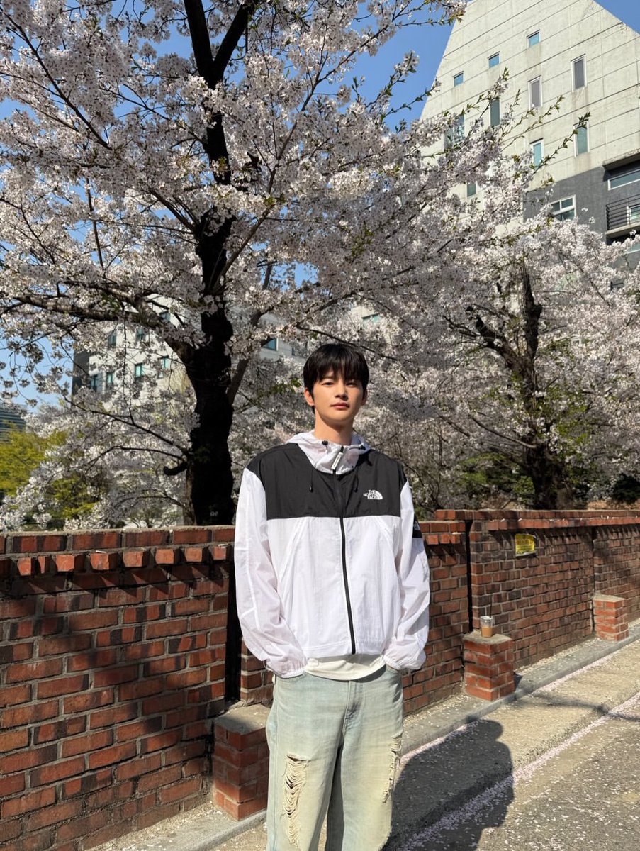 솝 tweet media