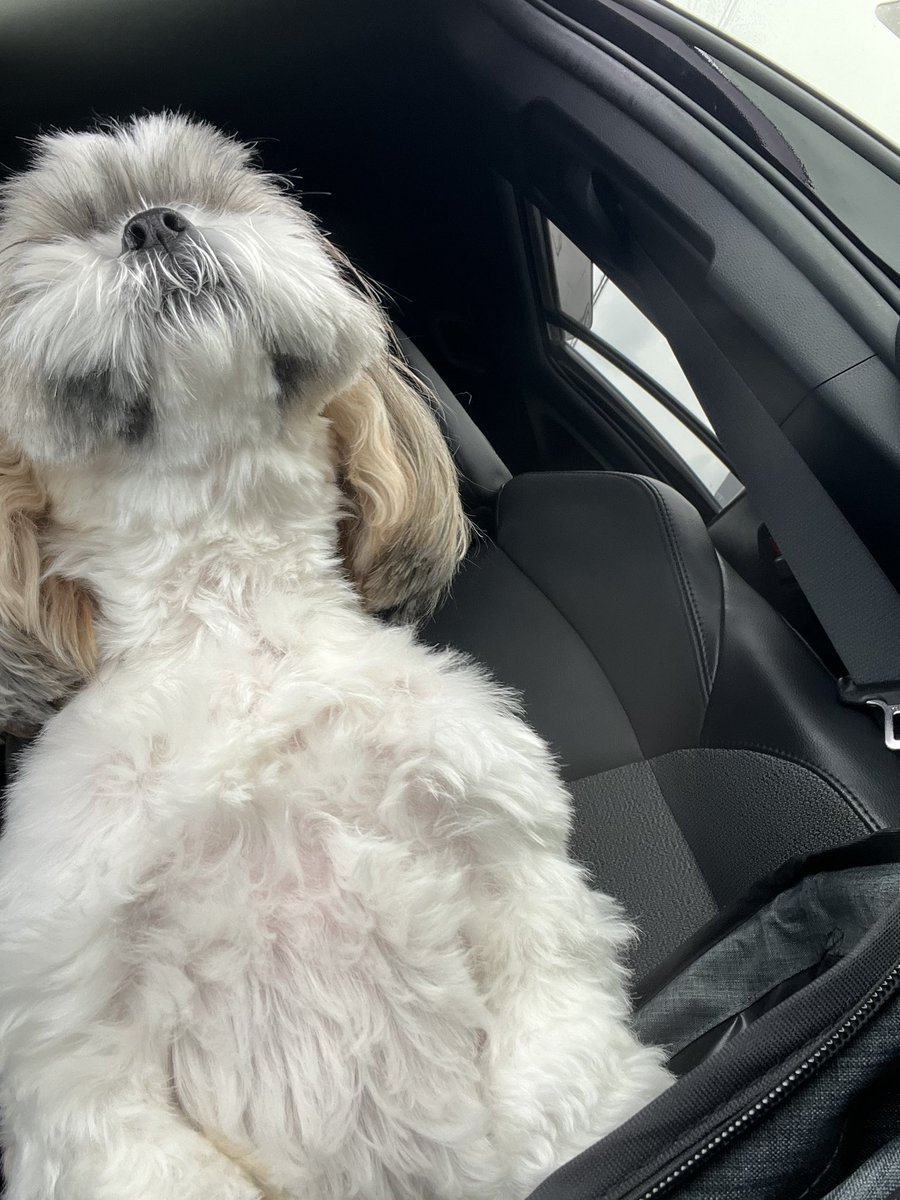 うぇん tweet media