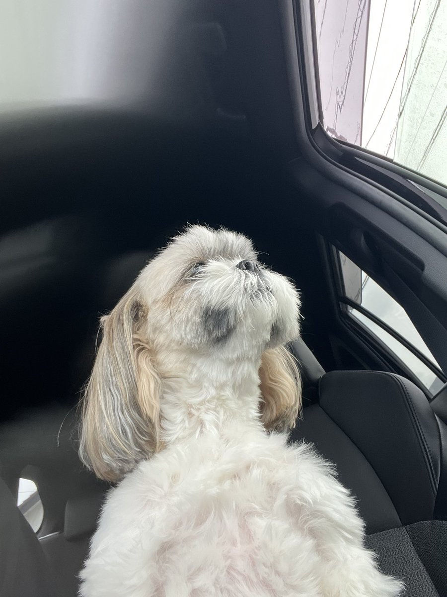 うぇん tweet media