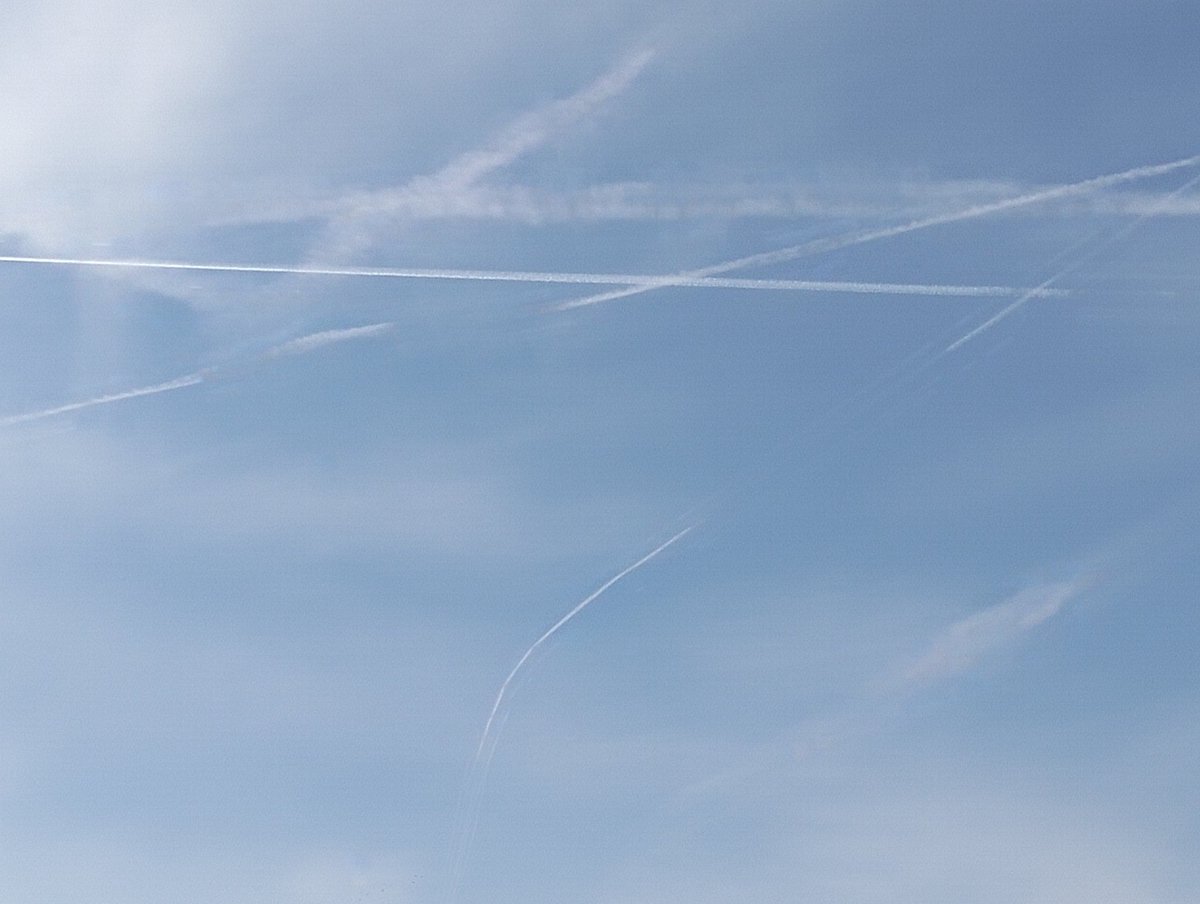 Ale ®️🇮🇹#antiglobalista#771#Z LA FORMICA tweet media