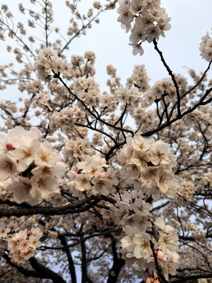 りり🔰借金500万円▶︎2年で資産700万円 tweet media