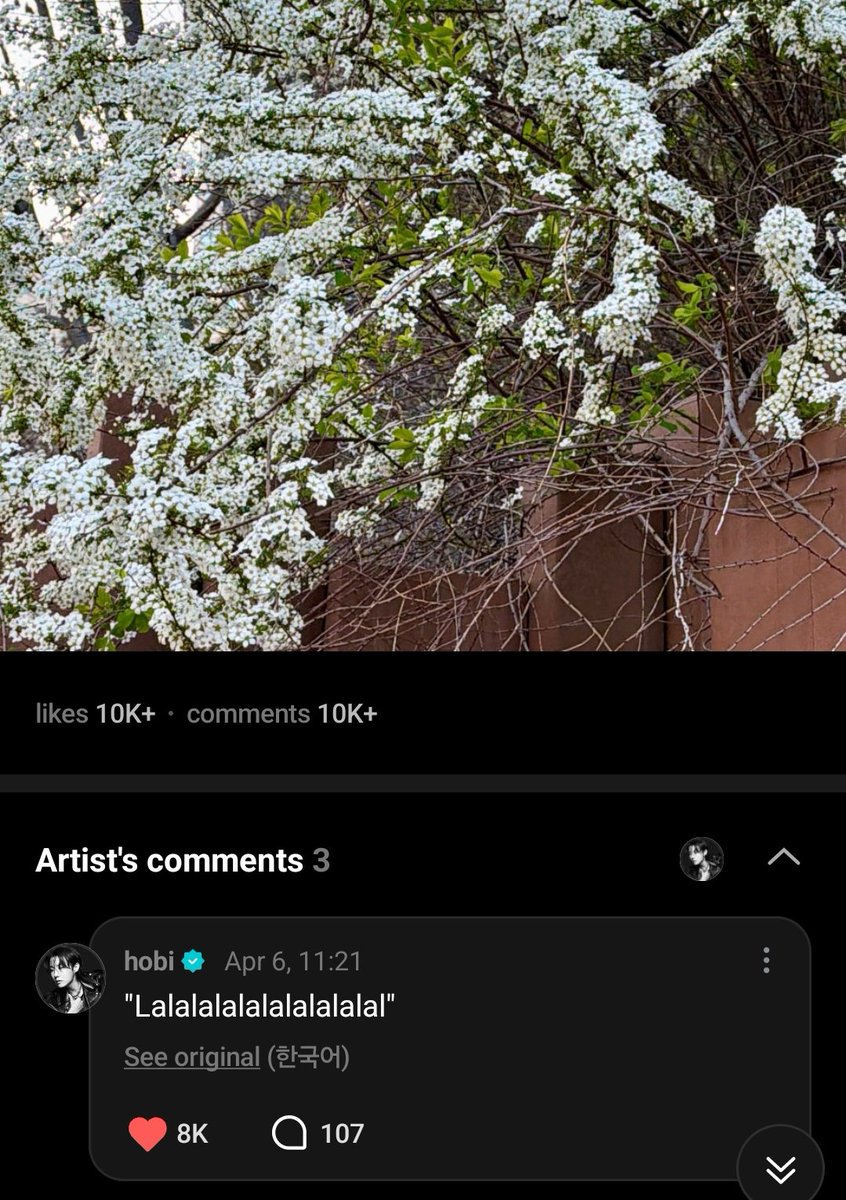 Carolyne🌱⁷⁼¹ tweet media