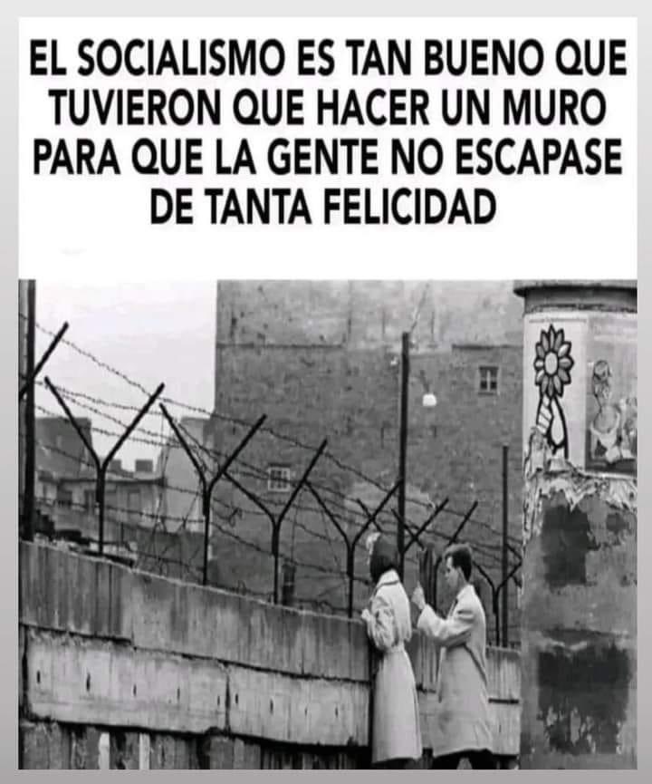 Constitucion Española tweet media