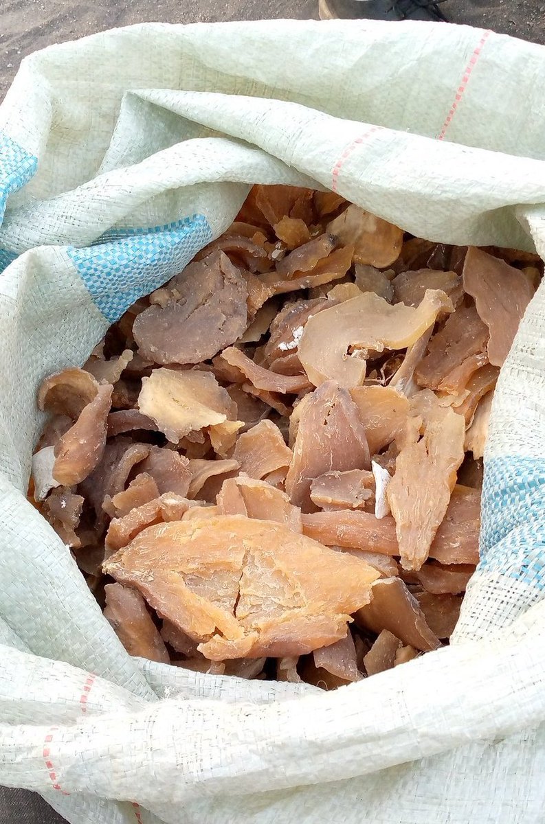 kasesco☆ tweet media