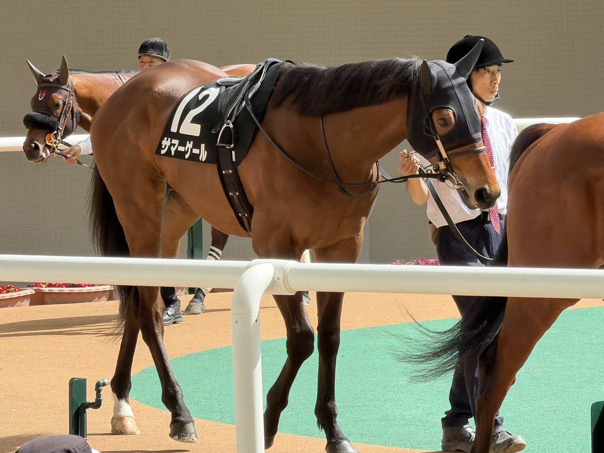 とびたか tweet media