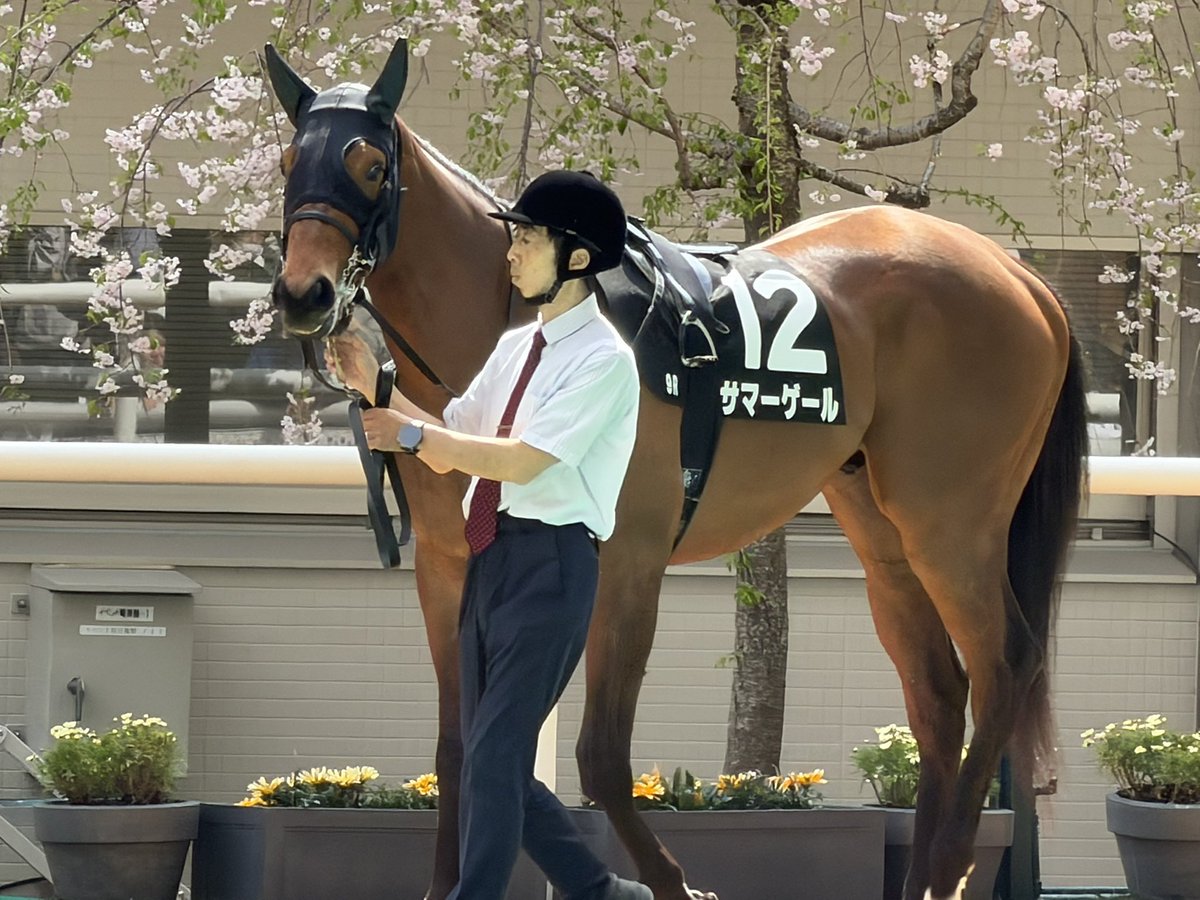 とびたか tweet media