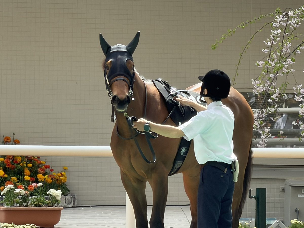 とびたか tweet media