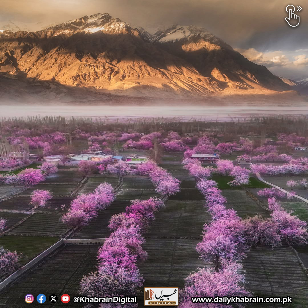 daily_khabrain's tweet image. SKARDU these days!

#Skardu #SkarduDiaries #SkarduViews #VisitSkardu #NorthernPakistan #TravelPakistan #MountainViews #NatureLovers #SkarduAdventure #ExplorePakistan #TravelGoals #SkarduBeauty #PakistanTravel #HimalayanViews 
#khabraindigital