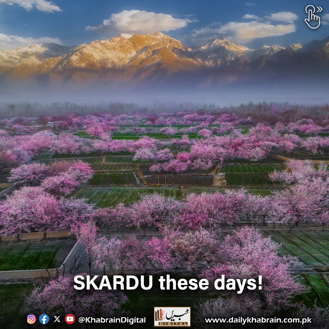 daily_khabrain's tweet image. SKARDU these days!

#Skardu #SkarduDiaries #SkarduViews #VisitSkardu #NorthernPakistan #TravelPakistan #MountainViews #NatureLovers #SkarduAdventure #ExplorePakistan #TravelGoals #SkarduBeauty #PakistanTravel #HimalayanViews 
#khabraindigital