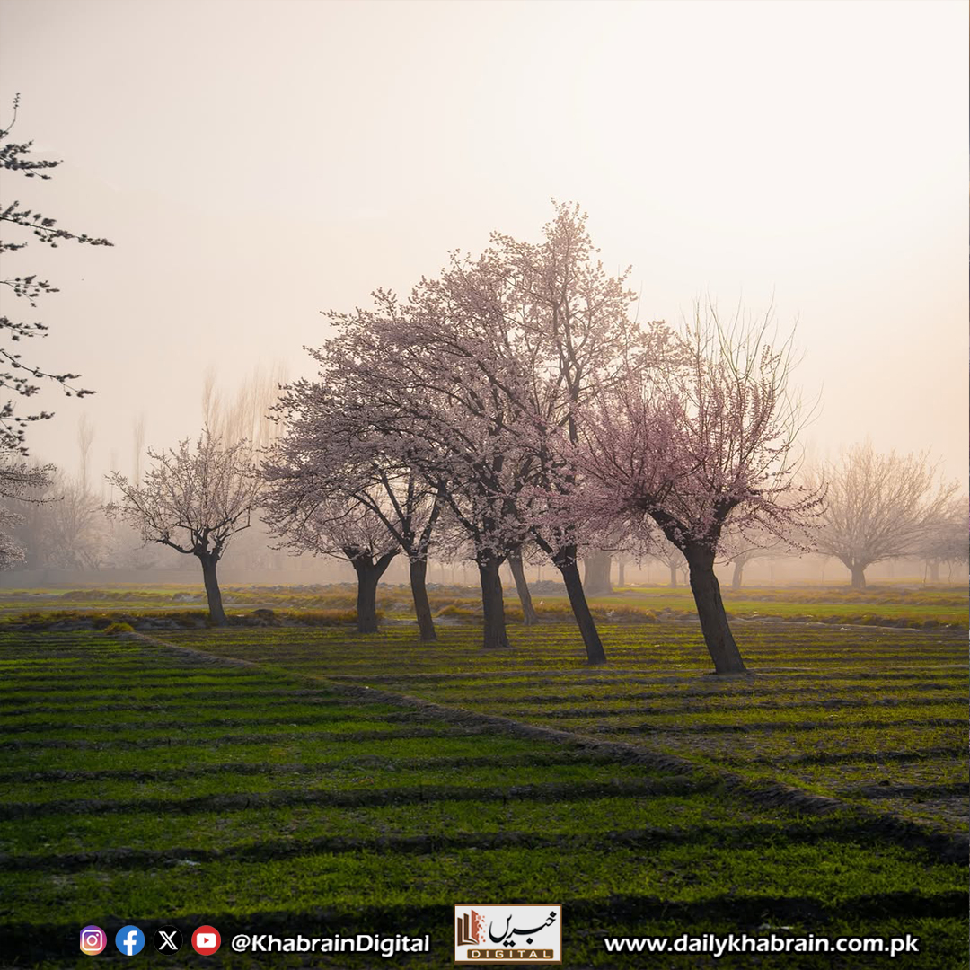 daily_khabrain's tweet image. SKARDU these days!

#Skardu #SkarduDiaries #SkarduViews #VisitSkardu #NorthernPakistan #TravelPakistan #MountainViews #NatureLovers #SkarduAdventure #ExplorePakistan #TravelGoals #SkarduBeauty #PakistanTravel #HimalayanViews 
#khabraindigital