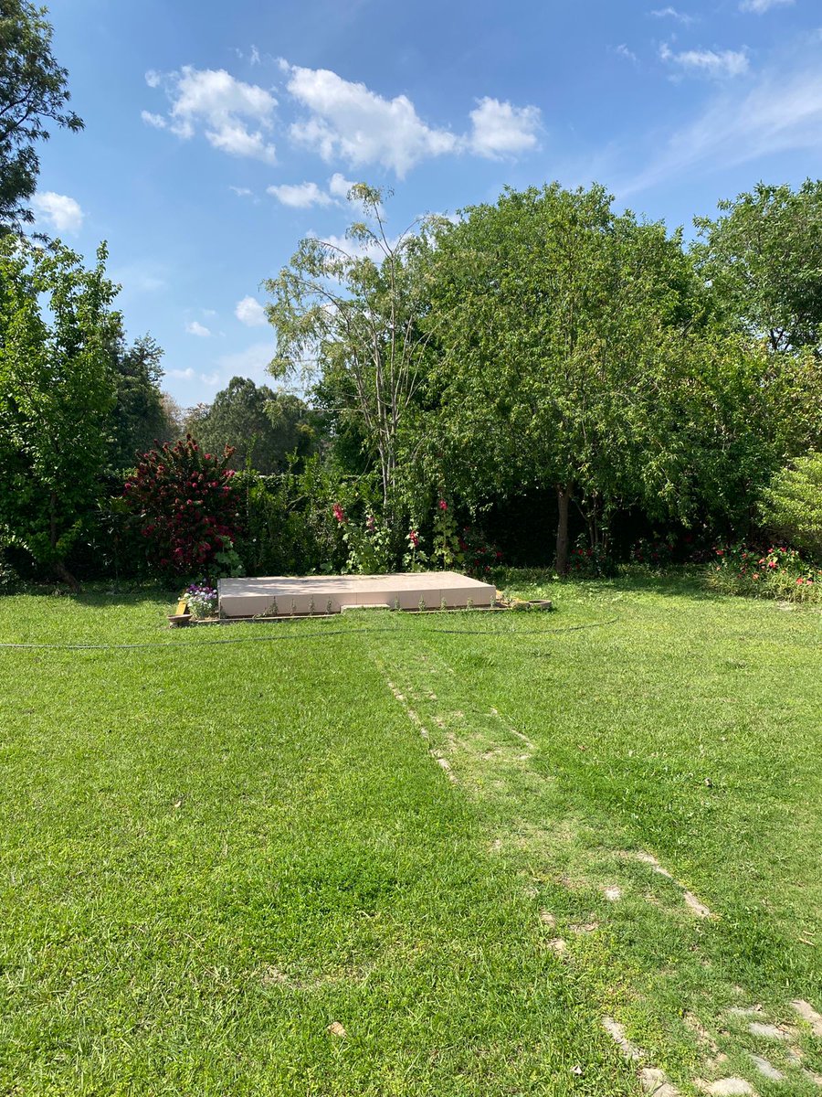 Lorenzo Medici tweet media