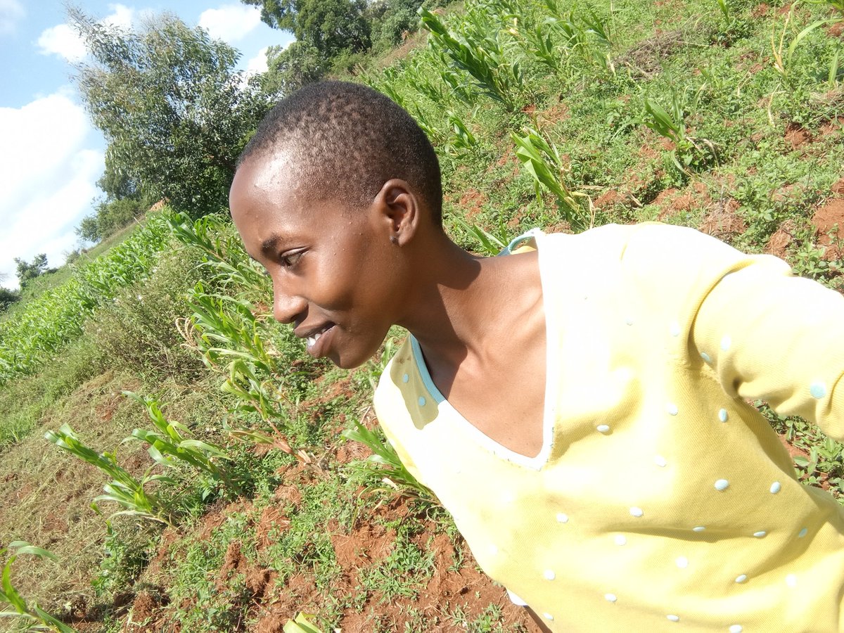 Kate 💦😍 tweet media